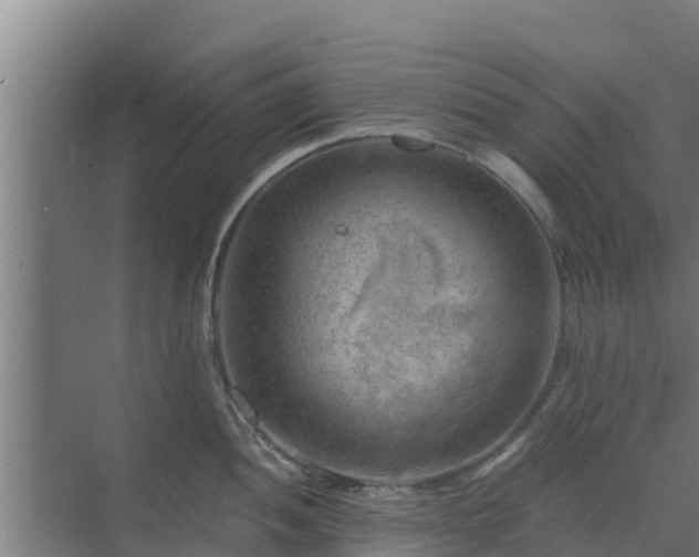 X0000069811052200605261743