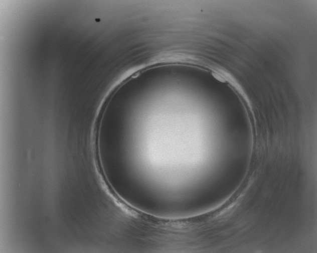 X0000069811053200605261743