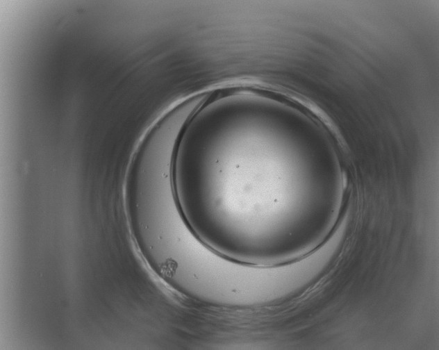 X0000069811054200605261743