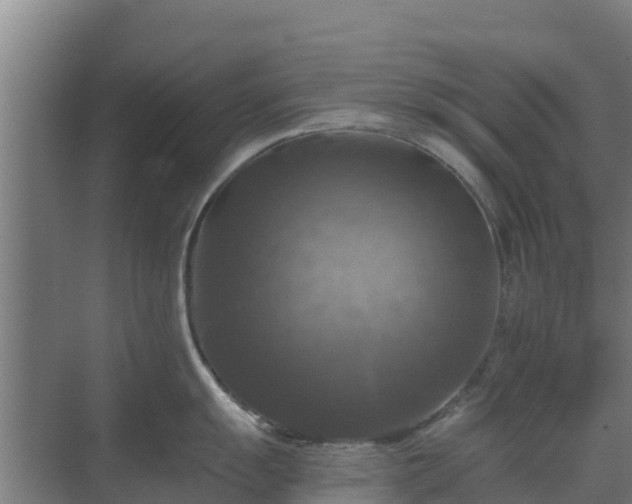 X0000069811055200605261743