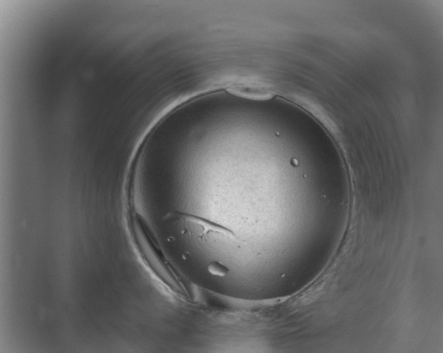 X0000069811056200605261743