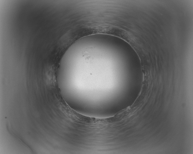 X0000069811058200605261743