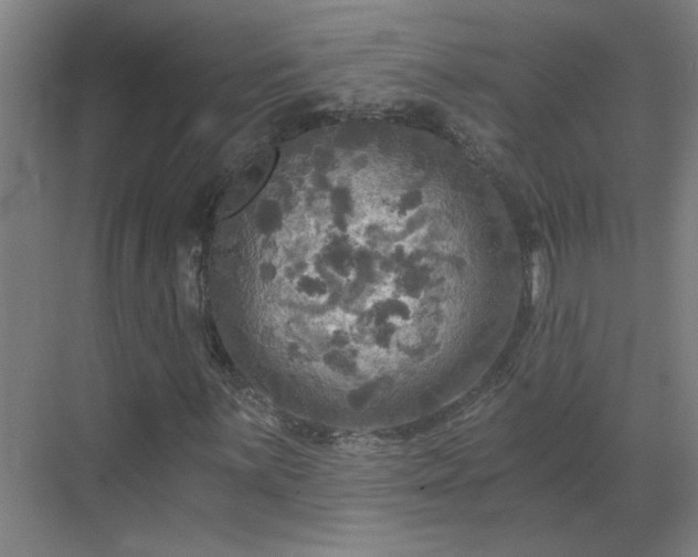 X0000069811059200605261743