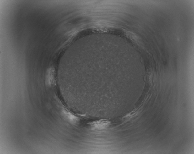 X0000069811060200605261743