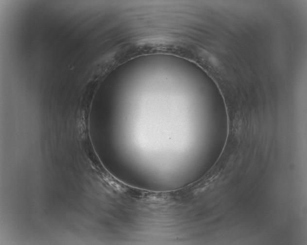 X0000069811062200605261743