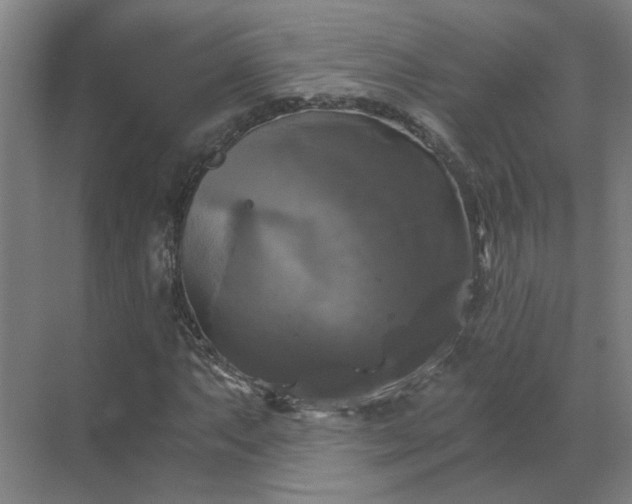 X0000069811063200605261743