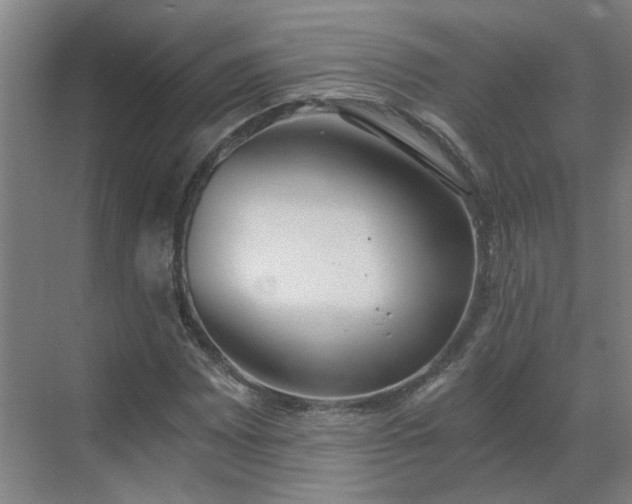 X0000069811065200605261743