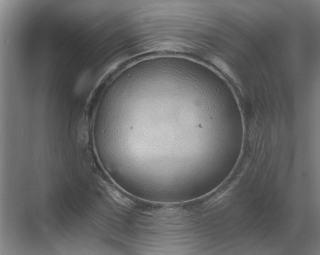 X0000069811067200605261742