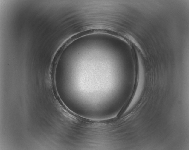 X0000069811068200605261742