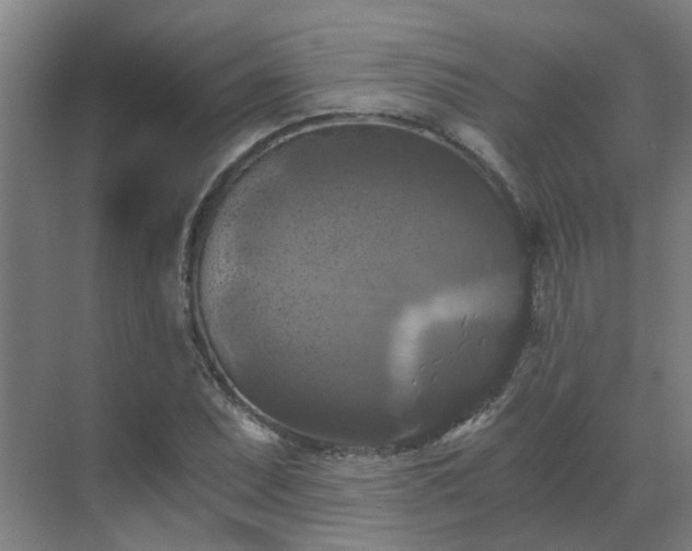 X0000069811071200605261742