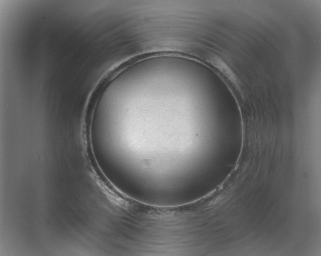 X0000069811072200605261742