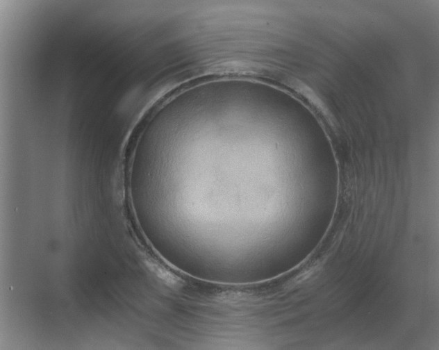 X0000069811075200605261742