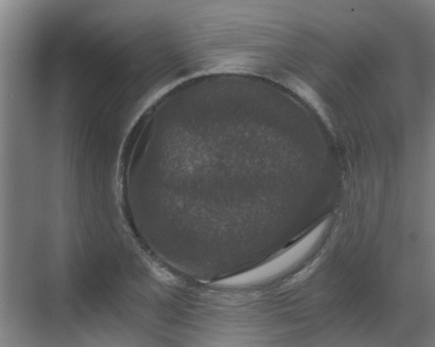 X0000069811077200605261742