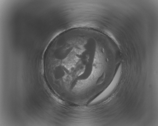 X0000069811079200605261742