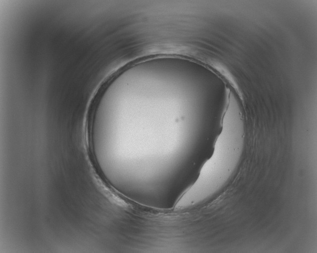 X0000069811080200605261742