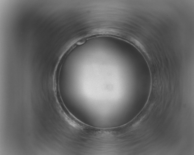 X0000069811082200605261742