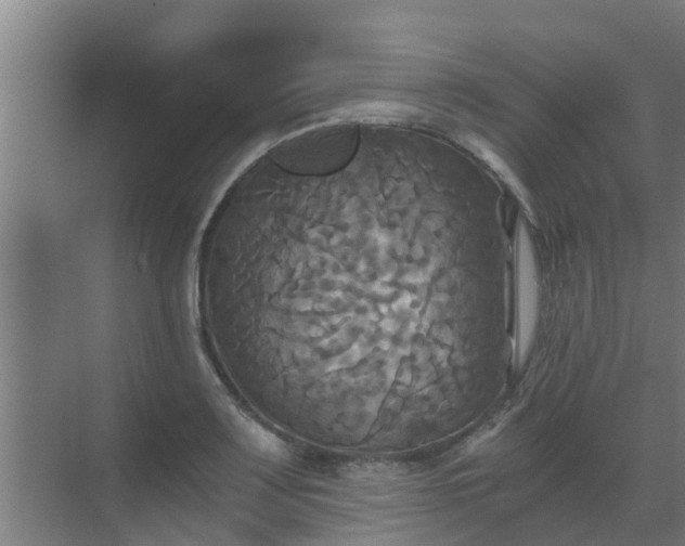 X0000069811083200605261742