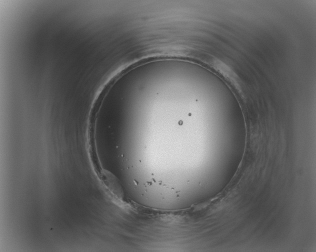 X0000069811085200605261742