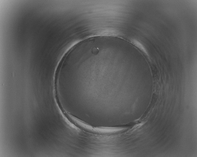 X0000069811087200605261742