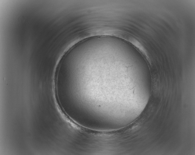 X0000069811088200605261742