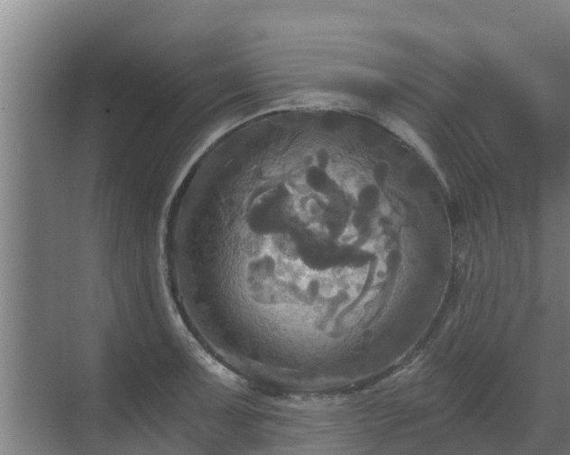 X0000069811091200605261742