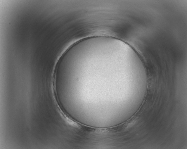 X0000069811094200605261742