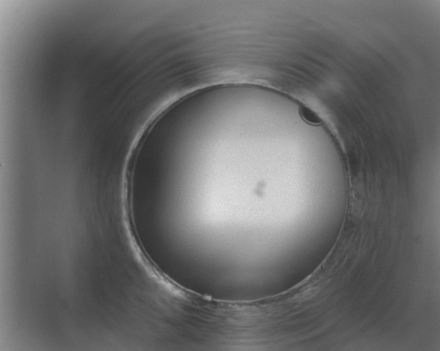 X0000069811096200605261742