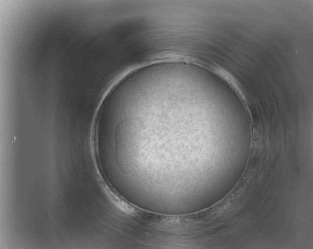 X0000069811098200605261742