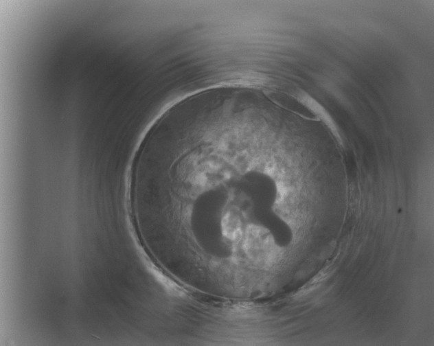 X0000069811099200605261742