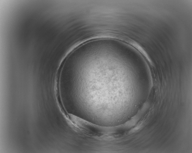 X0000069811101200605261742