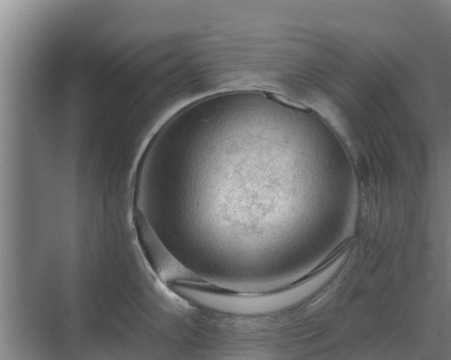 X0000069811102200605261742