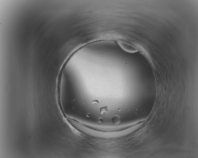 X0000069811103200605261742