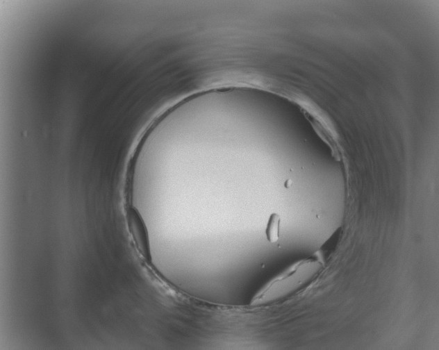 X0000069811104200605261742