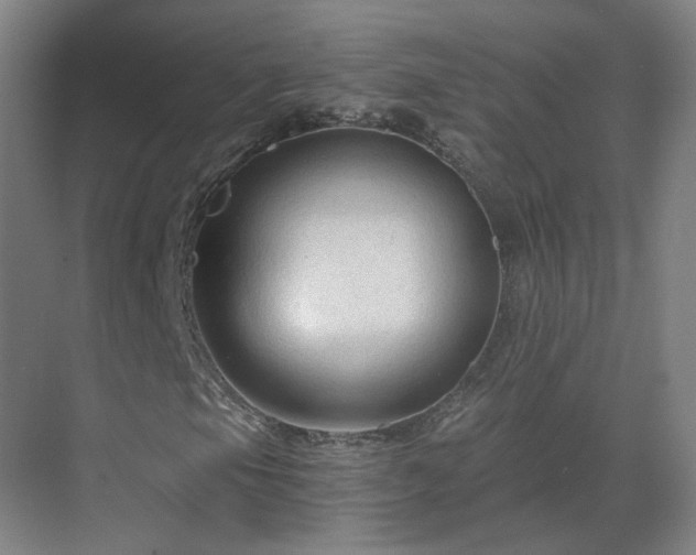 X0000069811105200605261741