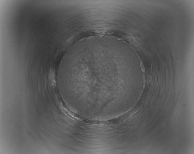 X0000069811106200605261741