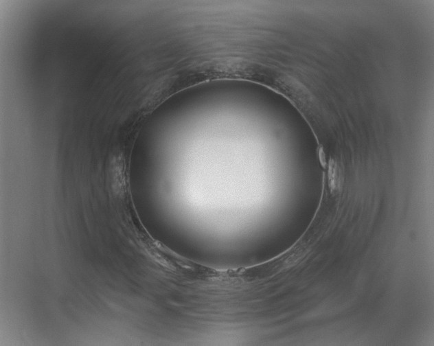 X0000069811107200605261741