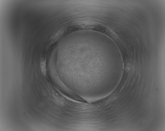 X0000069811108200605261741