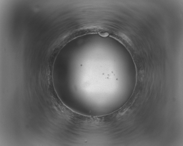 X0000069811111200605261741