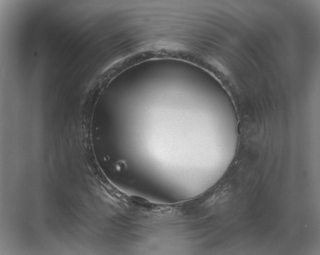 X0000069811112200605261741