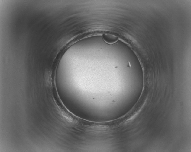 X0000069811113200605261741