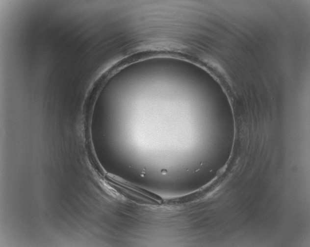 X0000069811114200605261741