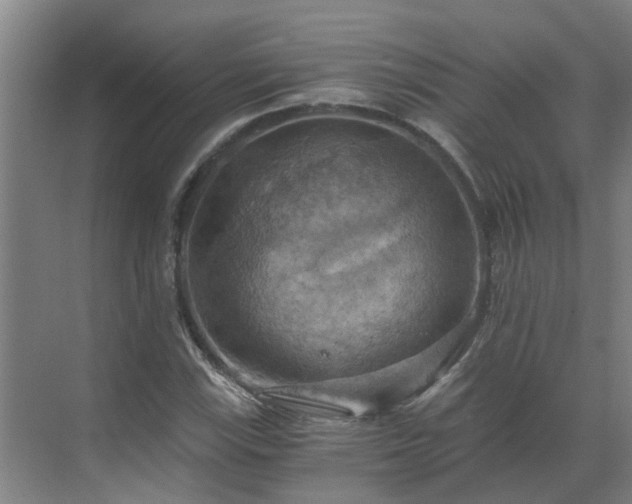 X0000069811115200605261741