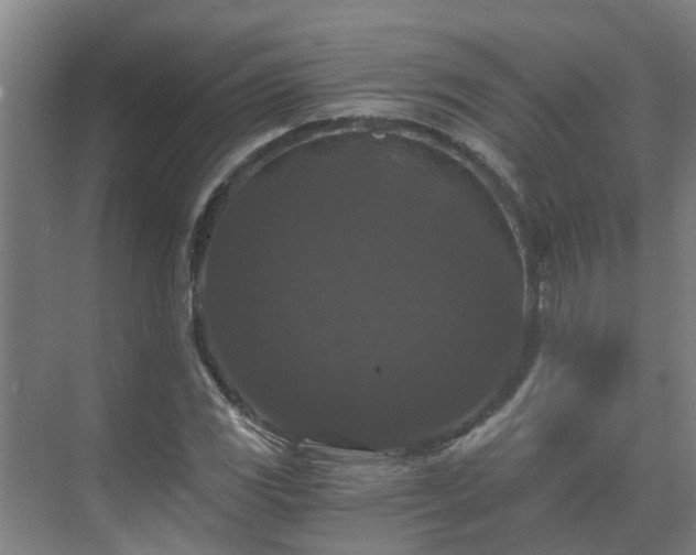 X0000069811117200605261741