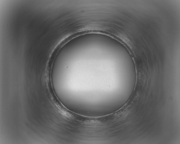 X0000069811119200605261741