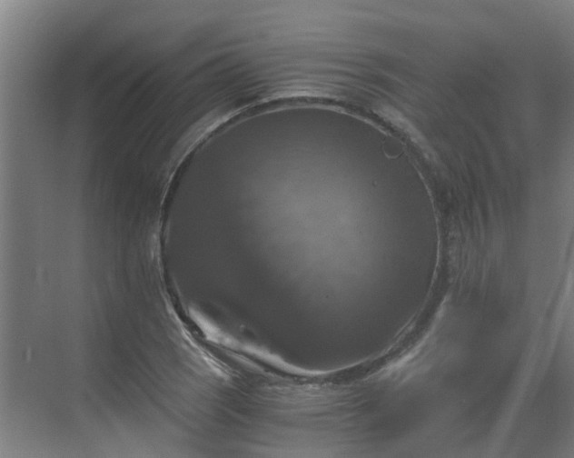 X0000069811121200605261741