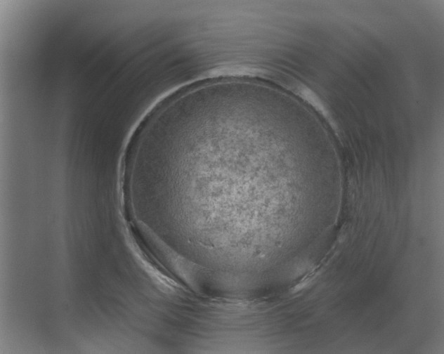 X0000069811124200605261741