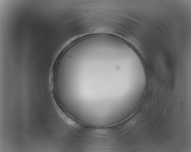 X0000069811126200605261741