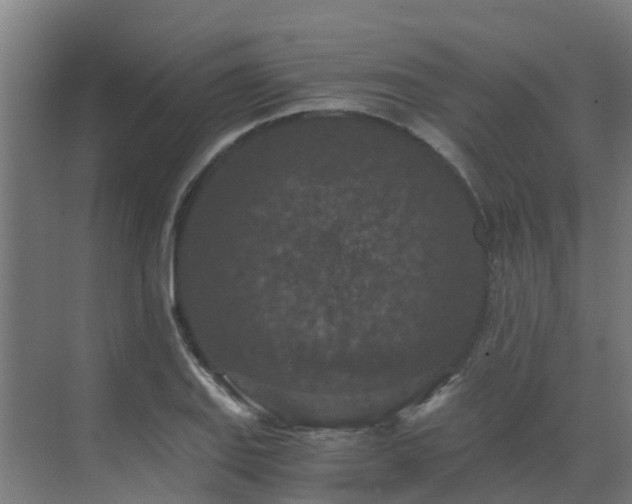 X0000069811127200605261741