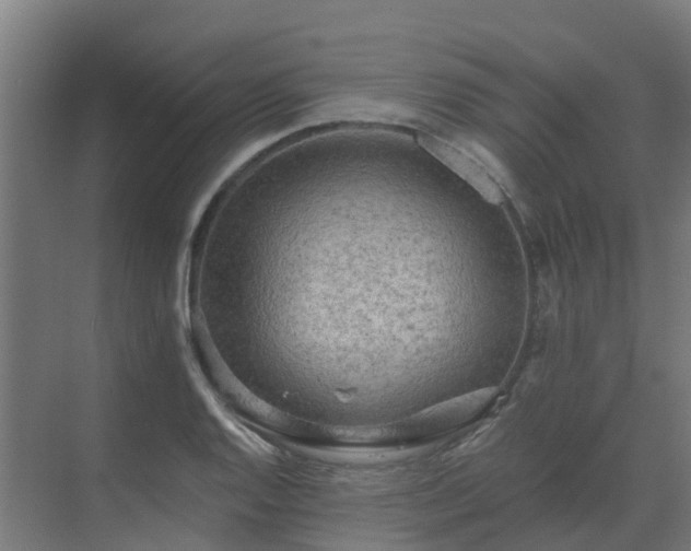 X0000069811128200605261741