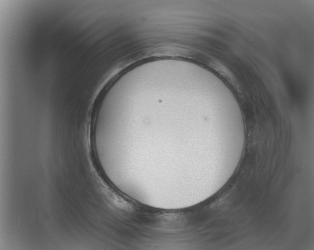 X0000069811130200605261741